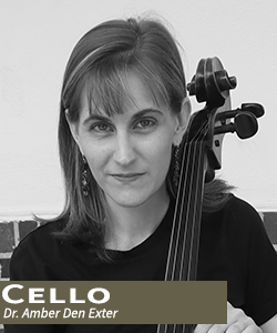 Cello AmberDenExter